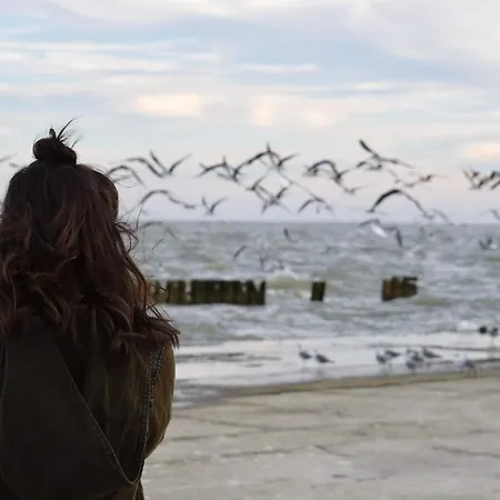 White Pearl 1.01 Timmendorfer Strand