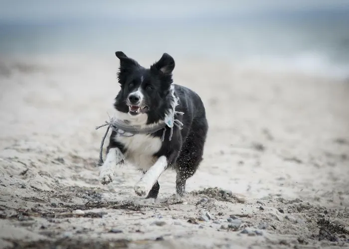 White Pearl 1.01 * Timmendorfer Strand