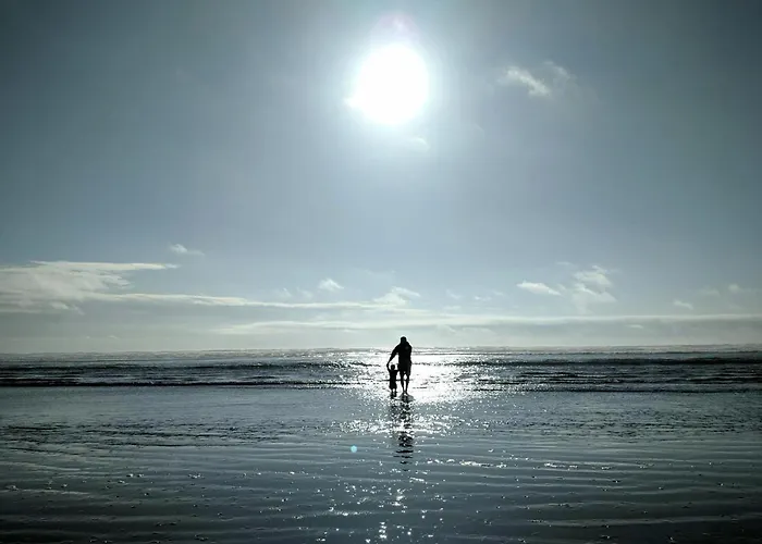 Apartment White Pearl 1.01